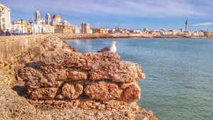 Cadiz y el mar